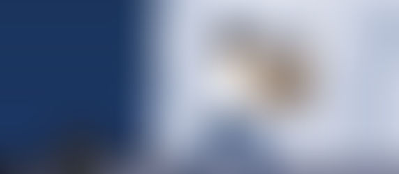 Hire Tucson Movers to Load Your Rental Truck for You