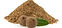 Allspice