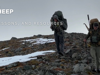 2024 Alaska Dall Sheep Story, Lessons, Gear, and Resources