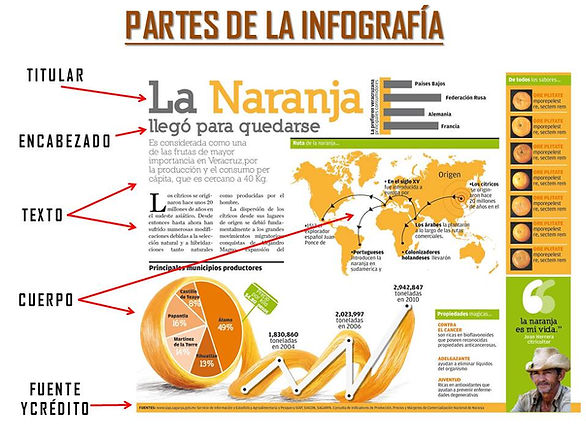 partes-de-la-infografía.jpg