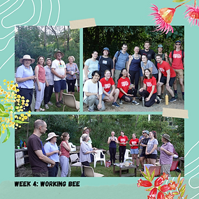 Balaangala Working Bees (Post 1).png