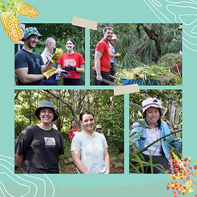 Balaangala Working Bees (Post 2).png