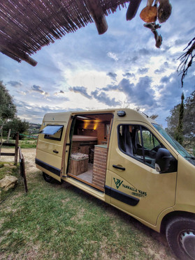 Venta Vanhalla Vans
