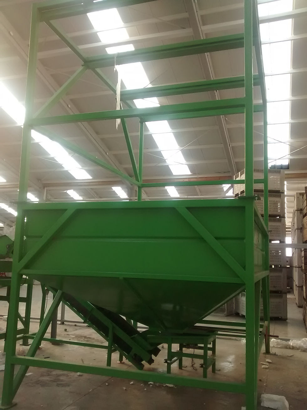 Linea para el Proceso de Nueces