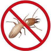 anti-termite-treatment-9953944007-250x250.jpeg