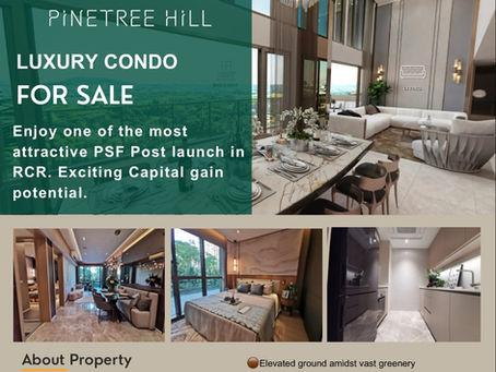 𝐏𝐈𝐍𝐄𝐓𝐑𝐄𝐄 𝐇𝐈𝐋𝐋