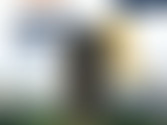 The Arcady At Boon Keng