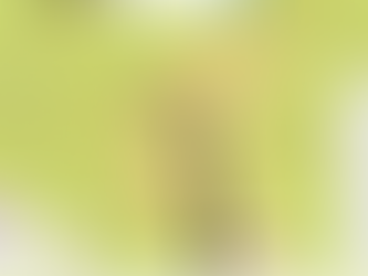 Updated USDA Plant Hardiness Map Key Points Explained