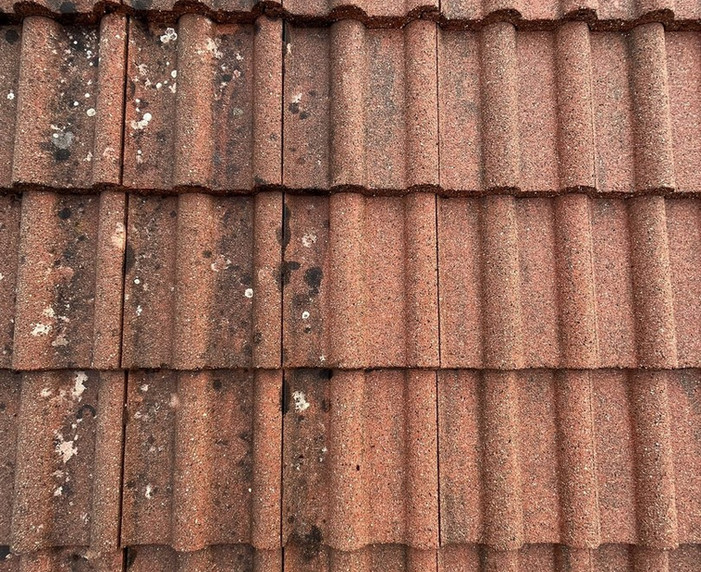 Nettoyage - Démoussage
et traitement de votre Toiture
La toiture est l’une des parties les plus importantes dans l’entretien d’un bâtiment car elle est très exposée aux éléments.
Que votre toiture soit en tuiles terre cuite, tuiles béton, ardoises ou fibrociments elles sont soumises à diverses agressions (pluie, UV, pollution), qui peuvent la fragiliser et augmenter la porosité des matériaux.
L’accumulation de végétaux comme les mousses, champignons et lichens peuvent freiner les écoulements des eaux de pluie et entraîner des infiltrations.​
L'entretien des gouttières de votre toit est une étape importante pour garder votre toit étanche à l'air et votre maison saine.

Les toits sont souvent négligés lors du nettoyage de printemps. Ces derniers doivent être maintenus dans un état exemplaire pour éviter des perturbations majeures dans la maison sur le long terme (inondations, fuites, humidité, etc.). Parmi les opérations importantes d'entretien de toiture, pensez à chouchouter vos gouttières. Les gouttières jouent un rôle déterminant dans l'évacuation des eaux pluviales et doivent être correctement entretenus.