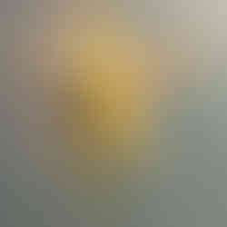 Guepes poliste La Guêpe Poliste : Comprendre son rôle et ses dangers et quelques conseils en cas de piqûre de guêpe avec votre Expert AJDN dans l'Aube.