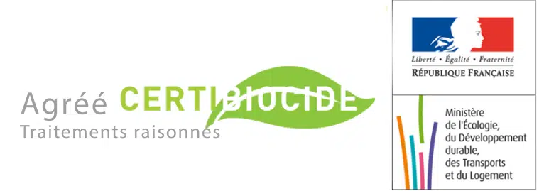 Les services de traitement et nettoyage de Régénère & Co La société Régénère and Co située dans la Gironde à Ambarès-et-Lagrave est le spécialiste du traitement et du nettoyage de vos toiture, façade, allée et terrasse. Nos équipements professionnels permettent également d'intervenir auprès des entreprises et des administrations afin de nettoyer les graffitis sur les murs, et les chewing-gums sur les sols grâce notamment au nettoyage vapeur. Vos machines professionnelles (ex : machines viticoles) retrouverons un rendement optimal grâce à un nettoyage de qualité. Retrouvez une glisse optimale de votre bateau sur les flots grâce à un nettoyage professionnel de votre coque. Quelque soit votre besoin Régénère and Co à la solution ! Certifié Certibiocide Ambarès