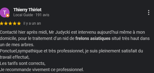 avis google ajdn intervention frelon asiatique 5 sur 5