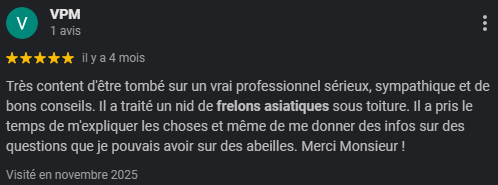 avis google ajdn intervention frelon asiatique 5 sur 5 