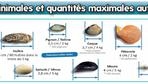 Crustacés : la taille minimales et quantités maximales autorisées 