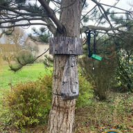 Chenille Processionnaire du Pin : Dangers et Solutions avec AJDN La chenille processionnaire du pin, connue sous le nom scientifique de Thaumetopea pityocampa, est un insecte qui peut causer de sérieux dommages aux forêts et aux jardins. Reconnaître et gérer cette espèce est essentiel pour protéger nos arbres ainsi que la santé de nos animaux de compagnie et des humains. Dans cet article, nous allons explorer les caractéristiques de la chenille processionnaire, ses dangers, et les solutions proposées par AJDN pour une intervention efficace, notamment dans un rayon d'environ 30 km autour d'Avreuil, incluant des villes comme Troyes, Saint-Florentin et Tonnerre.