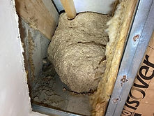 Destruction-nid-de-guepes-a-Auxon-1 (Copy).jpg
