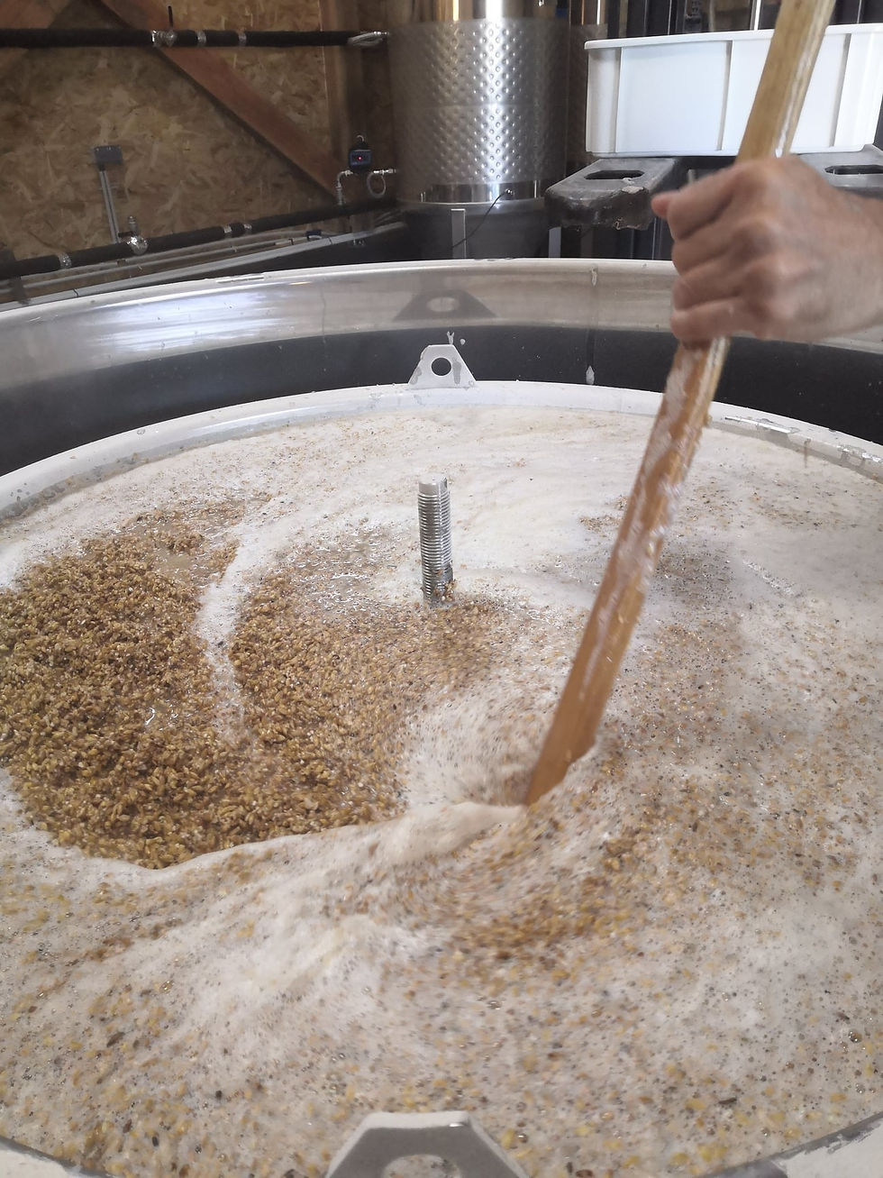 brassage biere bretagne le grain du ponant