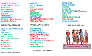 playlist mai.png