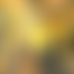 Guepes poliste La Guêpe Poliste : Comprendre son rôle et ses dangers et quelques conseils en cas de piqûre de guêpe avec votre Expert AJDN dans l'Aube.