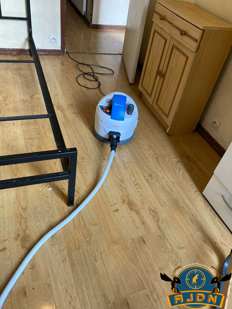 Désinfection et destruction de punaises de lit
Espèce d’insecte hétéroptère de la famille des cimicidae
Si vous suspectez un début d’infestation de punaise de lit à votre domicile, surtout n’attendez pas,
appelez un professionnel !

Des rougeurs ? Des piqures sur le corps ? De plus en plus de démangeaisons ? Il s’agit peut être de punaises de lit. Si tel est le cas, il faut agir vite car les piqures de punaises de lit ne sont pas anodines, elles peuvent entrainer des lésions cutanées sévères, elles sont également très urticantes pouvant entraîner des œdèmes. De plus les punaises sont extrêmement prolifiques, elles peuvent générer une grande descendance en quelques semaines.

En vous piquant, les punaises de lit se nourrissent de votre sang quand vous dormez. La fréquence des piqures par punaise est comprise entre 3 et 15 jours. Mais elles peuvent aussi bien survivre sans manger pendant un an et demi. Actives la nuit et fuyant la lumière, ce qui les rend très difficile à detecter, à combattre et à exterminer.

En général, les punaises de lit vivent principalement à proximité des endroits de repos de l’homme tels que les coutures du matelas, dans les trous du sommier, dans les têtes de lit, dans les placards, les plinthes, les canapés…

​

Désinfection sur l’Aube pour la destruction des punaises de lit
​
Méthode de destruction des punaises de lit par biocides
Lutte avec un insecticide liquide

​​

Méthode de destruction des punaises de lit sans biocides
Lutte par la chaleur avec un nettoyeur vapeur

Lutte par le froid avec bombe de froid (- 40 C°)

Lutte par aspiration avec un aspirateur industriel avec sac jetable

​

Méthode alternatives de destruction des punaises de lit

Lutte par bombe aérosol terre de diatomée 

​

Attention, aucun insecticide n’agit sur les œufs de punaises de lit.
C’est pour cela que suivant l’infestation, il faut plusieurs passages à intervalle régulier.