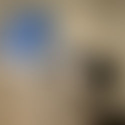 Destruction de punaises de lit à Villery Aube