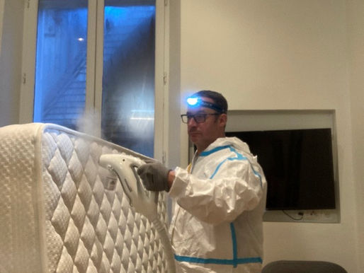 Destruction de punaises de lit à Villery Aube