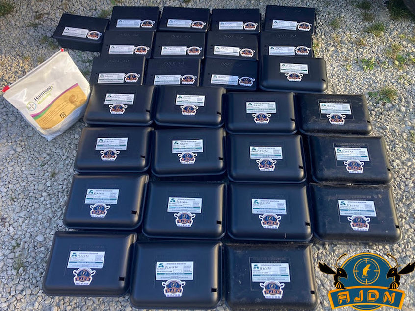 Dératisation rats, loirs, lérots et souris
Les deux espèces de rats les plus répandues en France sont :
Le rat noir (Rattus rattus)
le rat brun (Rattus norvegicus)
Le rat noir
Le rat noir, ou appelé aussi rat des greniers, est un animal nocturne qui vit plutôt en hauteur dans des endroits secs. Il est omnivore et très méfiant.
Il peut se reproduire toute l’année dans des conditions idéales. Les femelles font 3 à 6 portées par an et ont une dizaine de ratons à chaque fois.
Ils ont une durée de vie de 9 à 15 mois. Ils vivent en colonie où il peut y avoir une soixantaine d’individus.
Le rat brun
Le rat brun, ou surmulot, est plus gros que son cousin le rat noir et vit plutôt en milieu humide dans des terriers, dans les égouts en ville, en campagne ou dans des zones agricoles.
Il est omnivore mais a une préférence pour la viande plutôt que pour les céréales.
Les femelles font en moyenne 6 à 12 petits et peuvent avoir 4 à 7 portées par an.
Leur durée de vie est en moyenne de 9 à 15 mois, ils vivent en colonie très hiérarchisée qui peut atteindre 40 à 60 individus.
Le rat brun est un animal extrêmement prolifique !
Pourquoi Choisir Notre Service de Dératisation à Troyes ?
Que ce soit le rat noir ou le rat brun, ils sont tous les deux porteurs de maladies transmissibles à l’homme comme la peste, la leptospirose, la salmonellose etc…
Ils font aussi beaucoup de dégâts dans les exploitations agricoles ainsi que dans les granges, les greniers et les garages où ils peuvent provoquer des incendies en rongeant les câbles électriques.
Ils peuvent rapidement envahir les parcs et tout autres espaces verts.
Solution AJDN pour une dératisation
Lutte préventive : différentes opérations sont à effectuer comme boucher les trous pour éviter que les rongeurs pénètrent à l’intérieur des locaux. Il faut aussi bien sécuriser le stockage de vos denrées alimentaires, etc…
Lutte curative : une phase d’observation est nécessaire pour identifier quelle espèce de rongeur est présente, il faut également déterminer le degré d’infestation pour ainsi pouvoir adapter le meilleur moyen de lutte (tapette mécanique, piège, boîte d’appatage sécurisée… ).