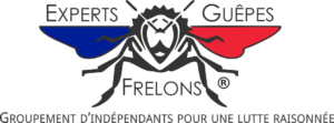 Experts Guêpes et Frelons   Groupement d’indépendants pour une lutte raisonnée et durable Qui sommes nous ? Nous sommes un groupement d’indépendants spécialisés dans la lutte contre les Frelons les guêpes et les chenilles processionnaires. Nous avons décidé de créer ce regroupement pour garantir la mise en pratique des méthodologies les plus sûres connues à ce jour dans le cadre d’interventions sur des nids de Frelons ou de chenilles processionnaires.