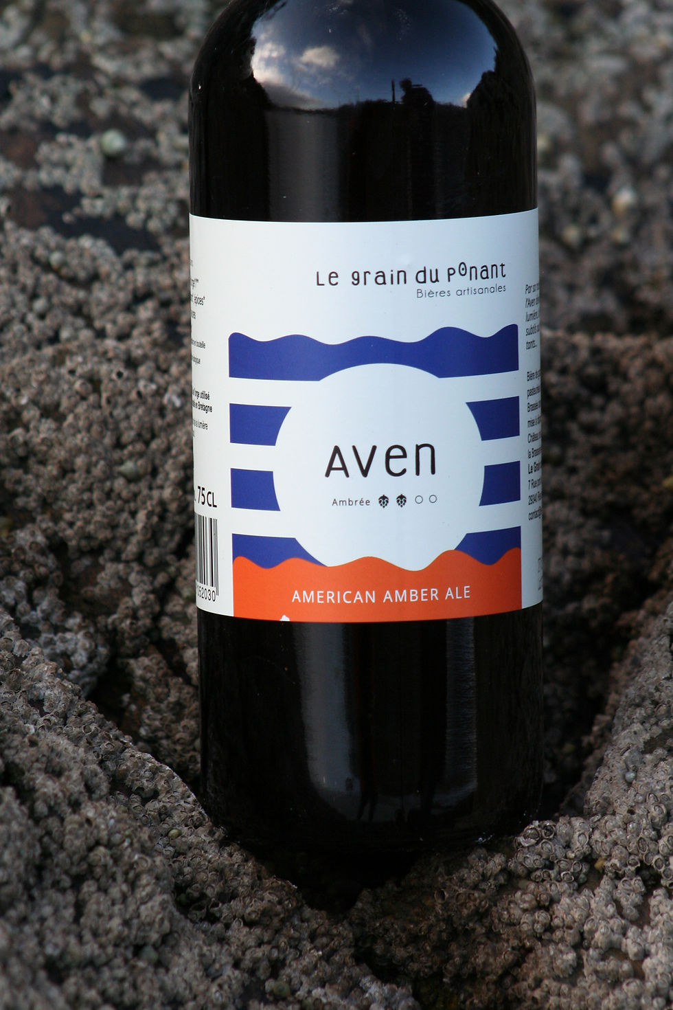 Aven Bière artisanale bio 5,5 ALC%VOL 41,6 IBU* 17,3 EBC* Elle a L 'Aven dans le sang... EN STO