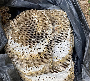 AJDN Arnold Destructions de nuisibles Les guêpes, bien que jouant un rôle écologique important, peuvent devenir une nuisance lorsqu'elles s'installent à proximité des habitations. Les nids de guêpes peuvent causer des piqûres douloureuses et poser des risques pour les personnes allergiques.