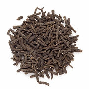 poivre-choco-long-nepal.jpg