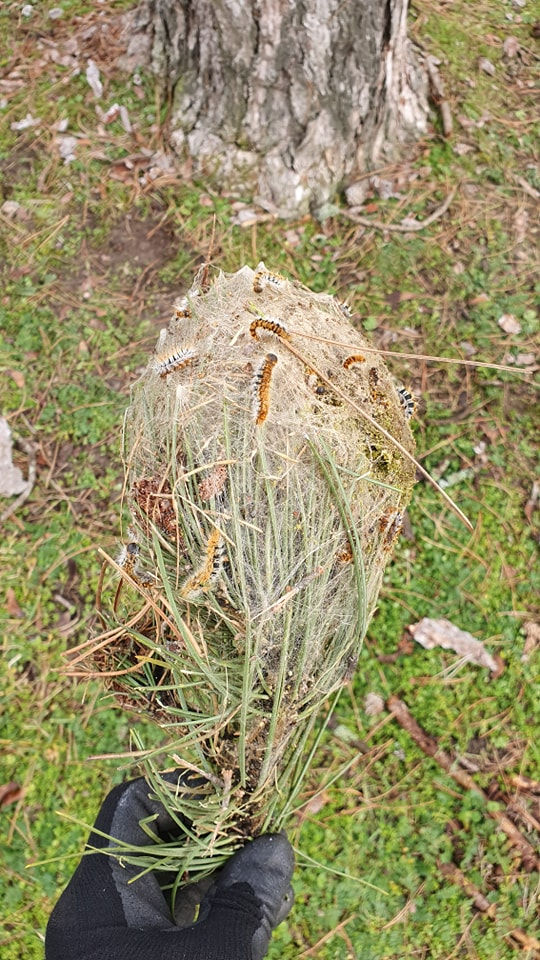 480714971_1199319102200453_7913624183532579398_n