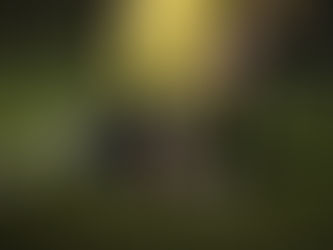 Α' ΕΠΣΘ: Ατρόμητος - Αίας Σούρπης