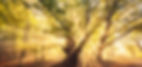 Bild 1 iStock-612238896_edited.jpg
