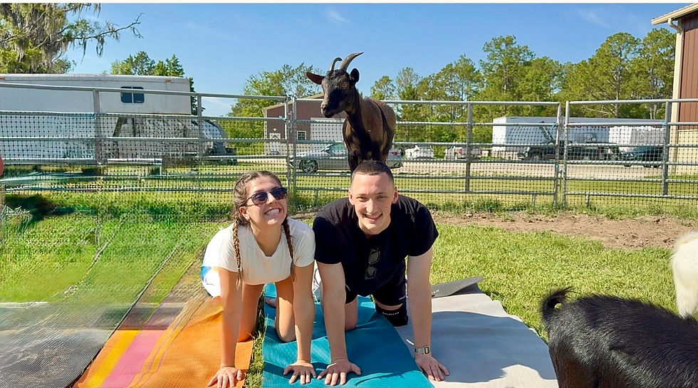 Goat Yoga 