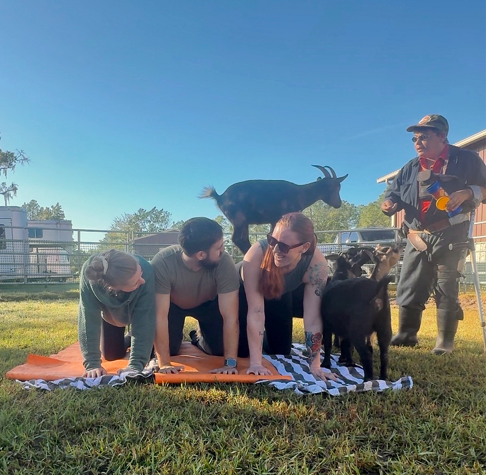 Goat Yoga 