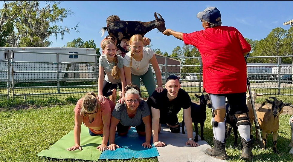 Goat Yoga