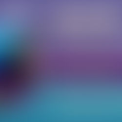 QYD Quest — February 4, 2022