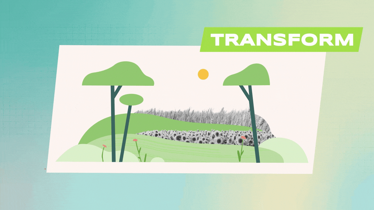 Motion design épuré