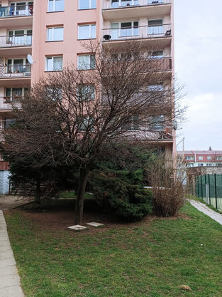 3.B Oázy A_09_No5_IMG_094640.jpg