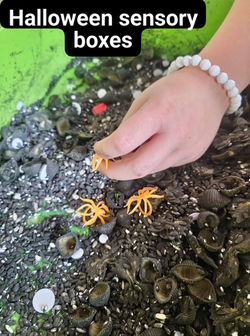 WhatsApp Image 2024-11-08 at 12.35.02_e545f409