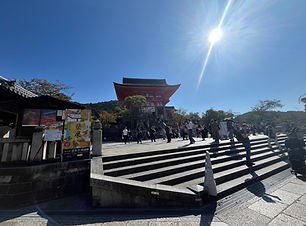 IMG_2283.jpeg