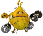 Germ with weights.png
