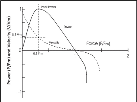 Force Velcoity Curve .png