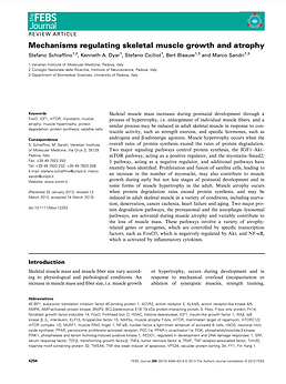 Screenshot 2020-03-27 at 19.45.44.png