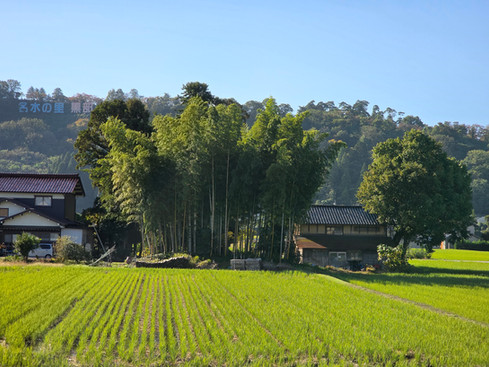Kurobe Gorge Railway
