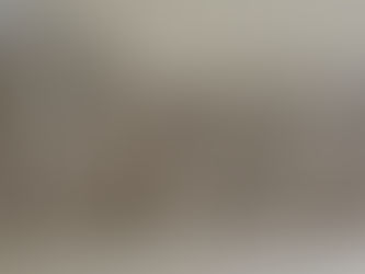 יצאנו לסיבוב ברכבת הנופית של נקיק קורובה וחזרנו למוזיאון האומנות והעיצוב בטויאמה