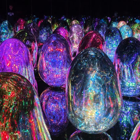 בילינו את היום בקיוטו - אומנות אינטראקטבית, מפלצות ואוכל טוב