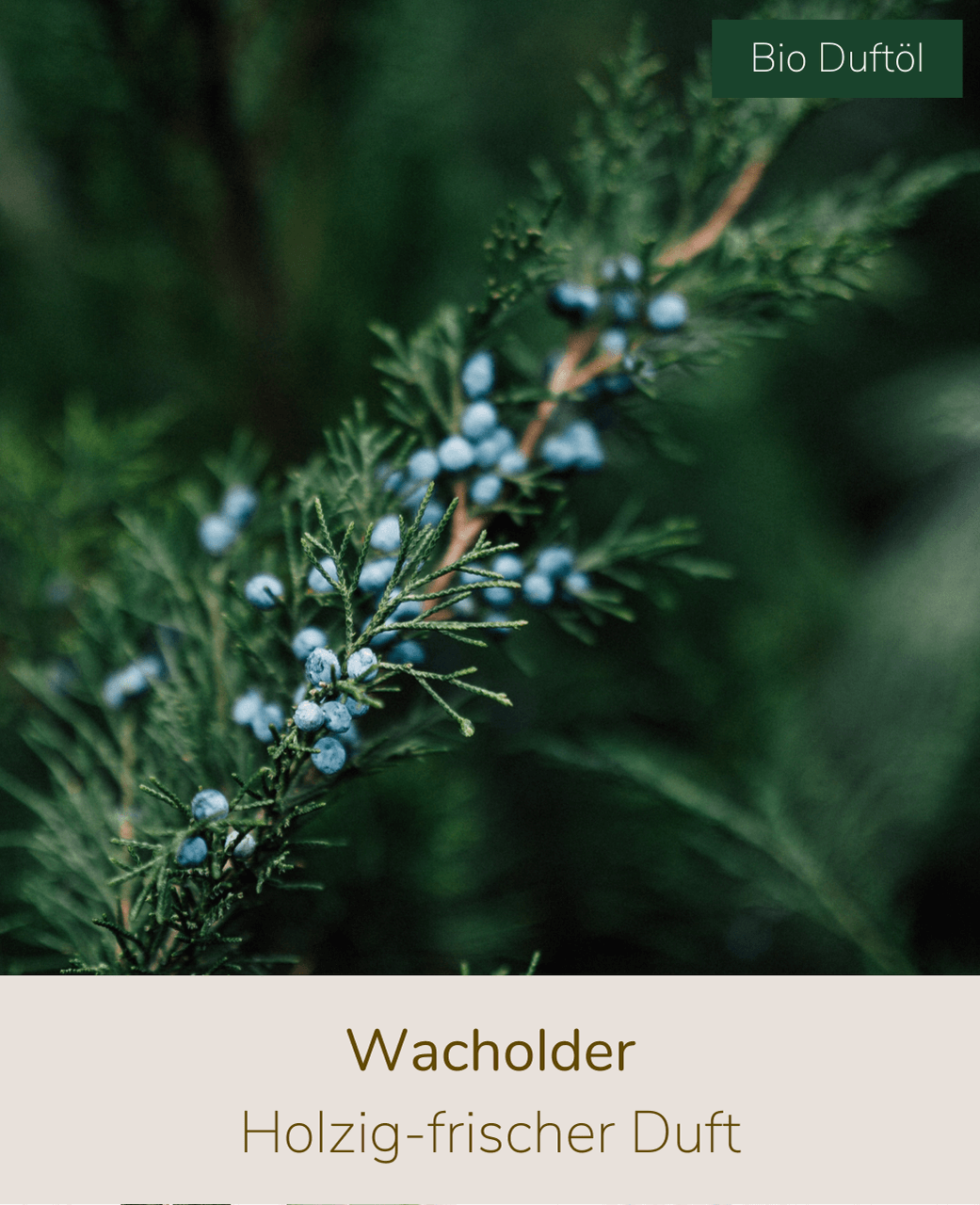 BIO Duftkerze Wacholder