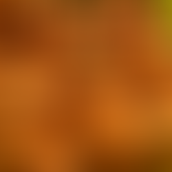 Ladakh Apricots: A Golden Treasure of the Mountains